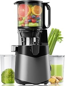 Cold Press Juicer, 5.8" Extra Large Feed Chute Fit Whole Fruits & Vegetables, 350W Slow Masticating Juicer Machines, Easy to Clean,High Juice Yield（Grey）<br>